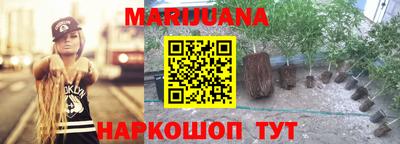 сатива Кохма