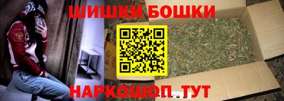 прущие грибы Котовск