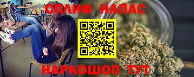 сатива Кохма