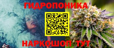 прущие грибы Котовск