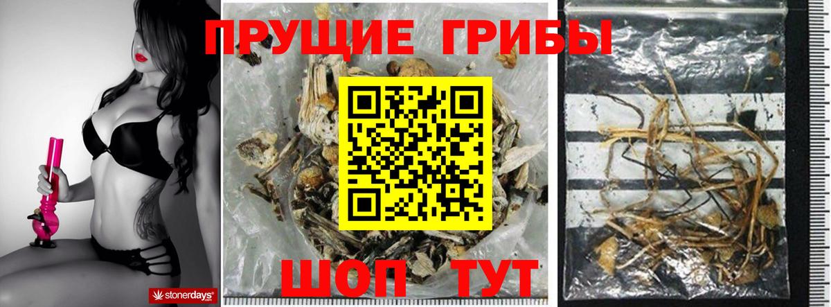 где продают наркотики  Галлюциногенные грибы Psilocybe  Вход с VPN  Псилоцибиновые грибы Cubensis  Заринск 