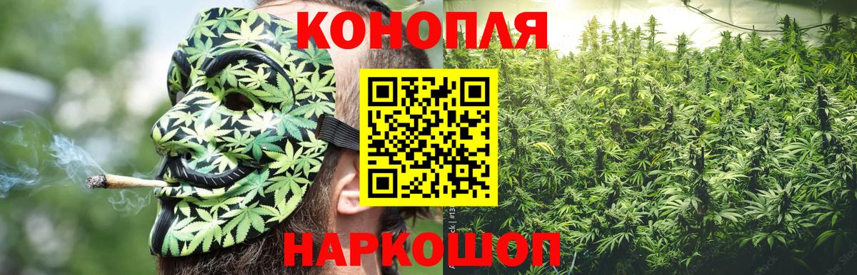 МАРИХУАНА сатива Заринск
